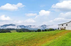 5130 Cedar Creek Road, Greeneville, TN 37743
