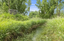 9820 S Bagley Road, Ashley, MI 48806