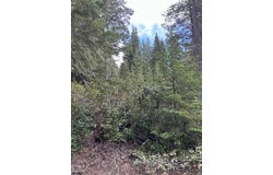 4 Royce Pine Road, Crescent Lake, OR 97733