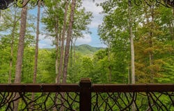 101 Heights Overlook, Cherry Log, GA 30522