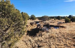 Ponderosa Ranches Trail Road, Pie Town, NM 87827