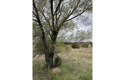 36 Entranosa Lane, Edgewood, NM 87015