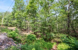 0 BOB LN, GREAT CACAPON, WV 25422