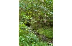 5313 W KY 70, Liberty, KY 42539