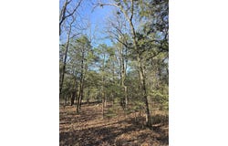 1812 Jackson 5, Bradford, AR 72020