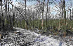 county road 75 W, Cayuga, IN 47928