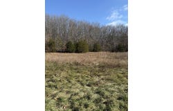 Varvel Rd, Willow Springs, MO 65793