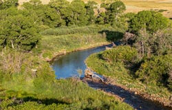 84 Bow Fiddle Ranch Rd, Centennial, WY 82070