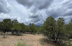 Hwy 15, Pinos Altos, NM 88053