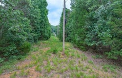 TBD Low Gap  RD, West Fork, AR 72774