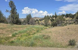 lot 298 Eel drive, Hornbrook, CA 96064-0000