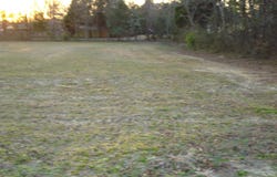 0 Raiford Road, Erwin, NC 28339