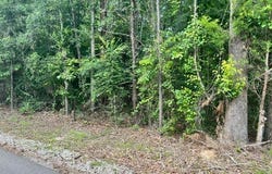 Ashborough Drive, Cottondale, AL 35453