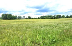 645 HEIDLERSBURG ROAD, BIGLERVILLE, PA 17307