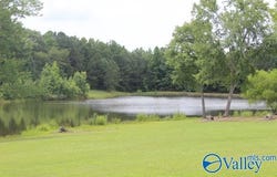 139 County Road 638, Pisgah, AL 35765