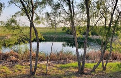 975 County Rd 458 (10 Acres), Coupland, TX 78615