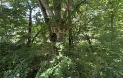 1347 Sharp Lane, Caryville, TN 37714