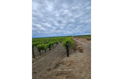 7517 Highway 145, Madera, CA 93637