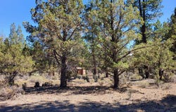 Butte Creek, Macdoel, CA 96058