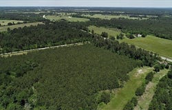 9490 Hwy 19, Lovelady, TX 75851