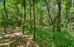 Lot 12 N 384 W, Lake Village, IN 46349