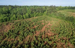 5 Acres Lot 2 Old Pee Dee Rd., Hemingway, SC 29554