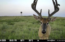 M Rd, Hanston, KS 67849