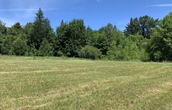 171 Mask LN, Toutle, WA 98649