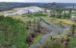County Rd 401, Carthage, TX 75633
