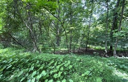 5.74 Acres Bailey Cemetary Rd, Tazewell, TN 37879