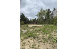 17188 Kent Avenue, Morley, MI 49336