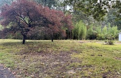 159 BRANDY LANE lot: 1, MULGA, AL 35118