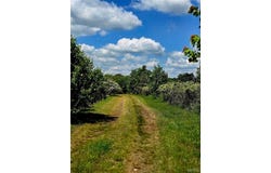 202 Ripley Route B, Naylor, MO 63953
