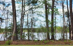 1601 W MLK Jr Boulevard, Roseboro, NC 28382