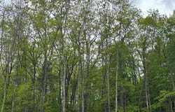 13-9b Bakerstown Road, Poland, ME 04274