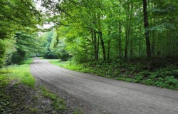 Sawyer Ave, Medford, WI 54451