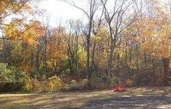 1817 W D Avenue, Kalamazoo, MI 49009
