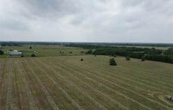 20 ac FM 2716, Cooper, TX 75432