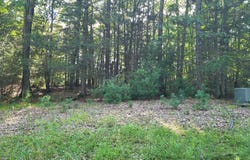 8-2 Tayler Trail, Woodstock, CT 06281