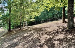 1.47 Acres Sibert Drive, Glencoe, AL 35905