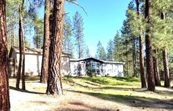 1477 D COLLEGE LN, KETTLE FALLS, WA 99141
