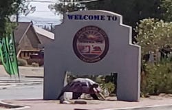 0 Underwood Avenue, California City, CA 93505