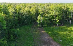 E1501 County Road H-44, Trenary, MI 49891