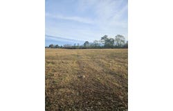 Hwy 278 W, Umpire, AR 71971