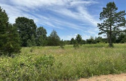 676 County Road 403, Alton, MO 65606