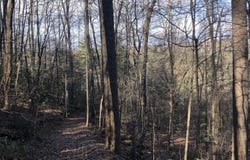 450 Holder Cemetery Rd, Tellico Plains, TN 37385
