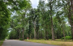 MILTON CRADDOCK Road lot: 0, Pearl River, LA 70452
