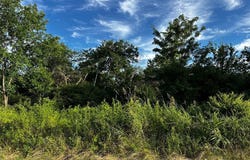 Tbd FM 1499, Paris, TX 75462