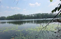 W2597 HOLLISTER RD E, White Lake, WI 54491