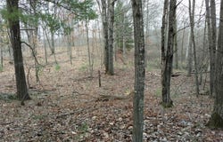 22906 40th Avenue, Barryton, MI 49305